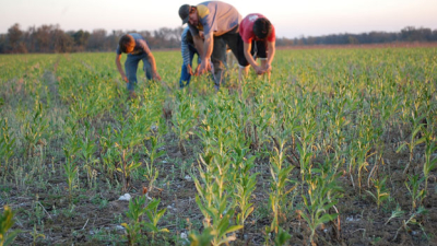 Pobreza en el norte productivo