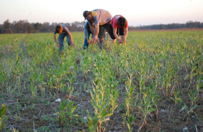 Pobreza en el norte productivo