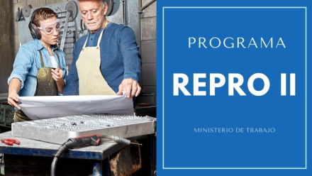 PROGRAMA-REPRO-II-MINISTERIO-DE-TRABAJO-IGNACIO-ONLINe.jpg