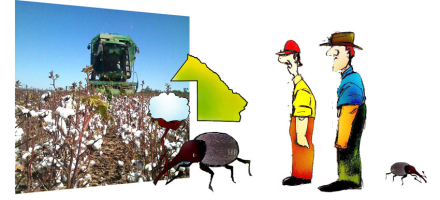 Dibujo-RURAL-hoy14Abril.jpg