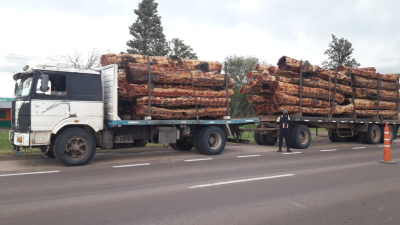 Secuestran producto forestal transportado con guía vencida y un auto adulterado