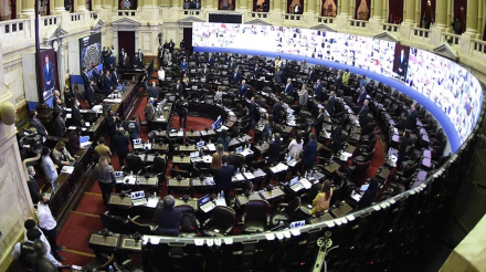 Diputados sesion especial.jpg copy