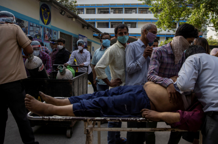 india01.jpg