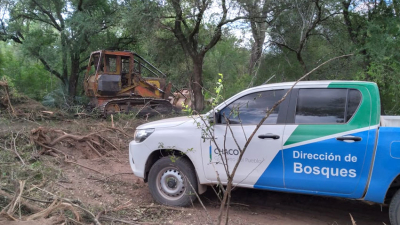 Bosques elaboró 294 expedientes de unas 4,485 hectáreas de intervenciones ilegales