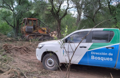 Bosques elaboró 294 expedientes de unas 4,485 hectáreas de intervenciones ilegales