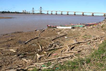 parana.jpg