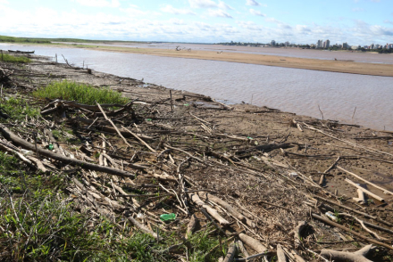 parana.jpg