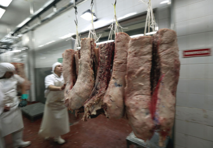 carne.jpg