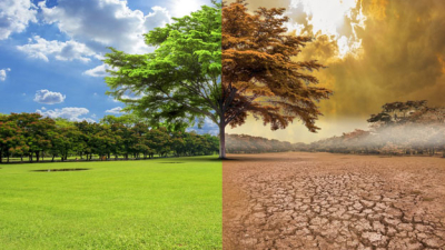Más evidencias del cambio climático a escala planetaria