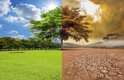 Más evidencias del cambio climático a escala planetaria