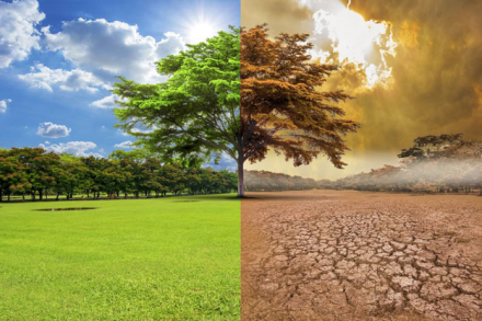 cambio-climatico.jpg