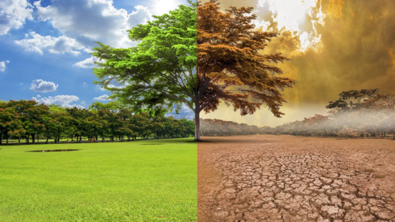 Más evidencias del cambio climático a escala planetaria