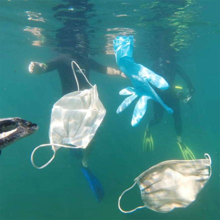 plastico.jpg