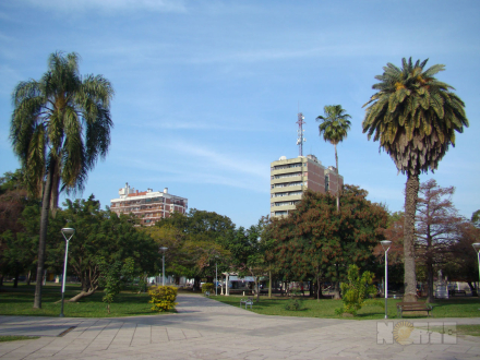 veranillo3.jpg