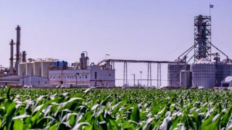 “Perdimos otra oportunidad de industrializar la producción chaqueña”