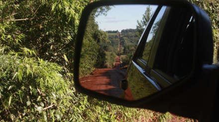 selva misionera04.jpg