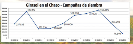 cuadro.jpg