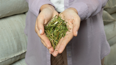 Karla Johan, Sommelier de Mate
