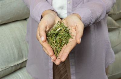 Karla Johan, Sommelier de Mate