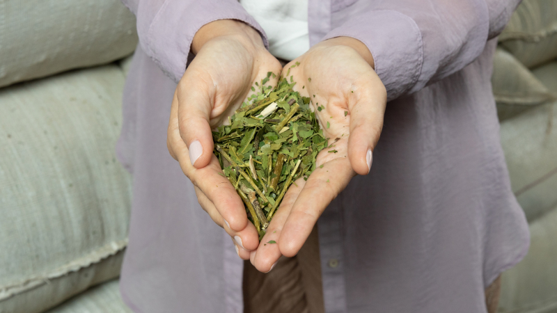 Karla Johan, Sommelier de Mate