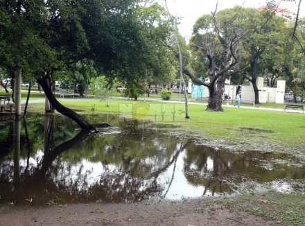 lluvia de junio .jpg