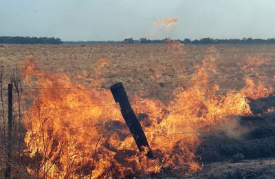 Cuidado con el fuego! Y con los cuatreros también