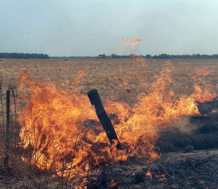 incendio-de-postes.jpg