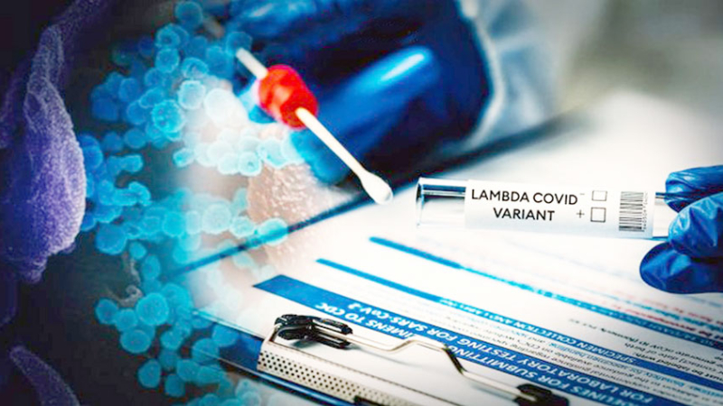 Coronavirus: variante Lambda empieza a emerger en EEUU