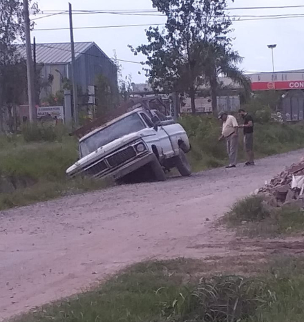 falcon02.jpg