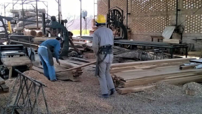 La agonía del sector foresto-industrial: “Tocamos fondo, sin trabajo y con miles de familias sin sustento diario”