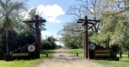 mburucuya.jpg