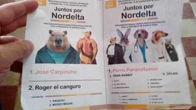 "Juntos por Nordelta": encontraron boletas con imágenes de carpinchos