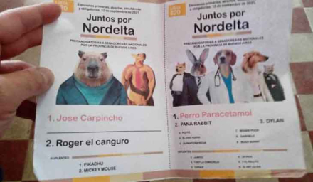 juntos-nordelta-boleta.jpg