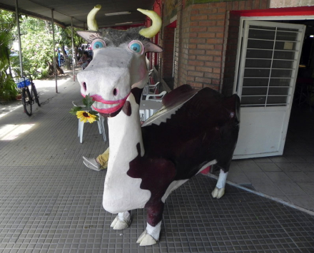 vaca-atada.jpg