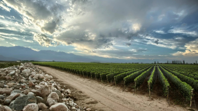 La bodega argentina Zuccardi fue elegida como el mejor viñedo del mundo 2021