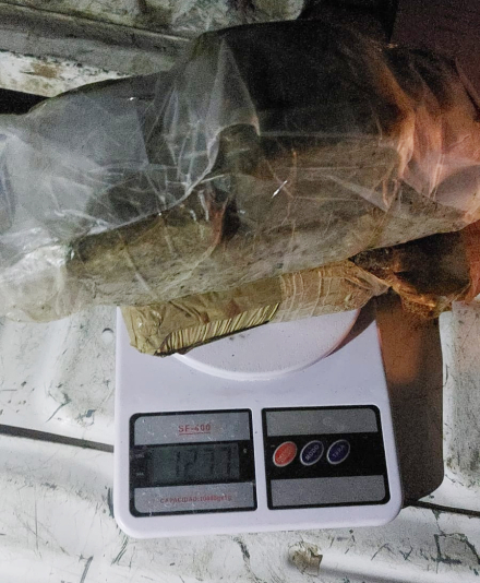 marihuana01.jpg