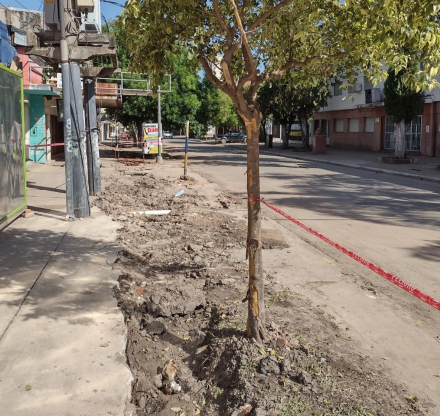 06 - arbol 2 c.jpg copy