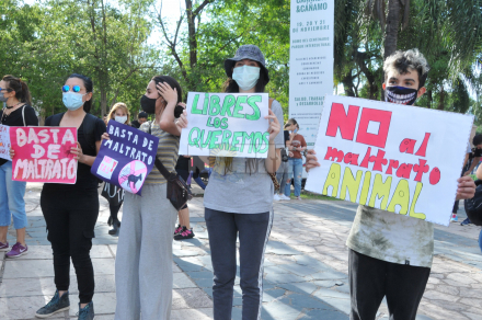 marcha4.jpg