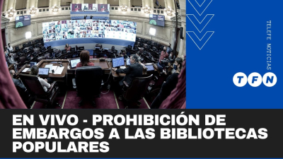 Diputados analiza la prohibición de embargos a las bibliotecas populares