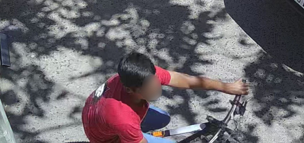 robadabici.jfif