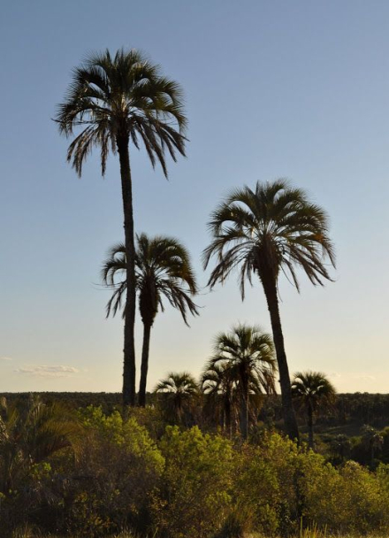 parque nacional07.jpg
