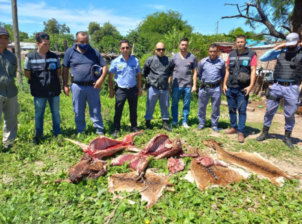 ciervos del zoo.jpg