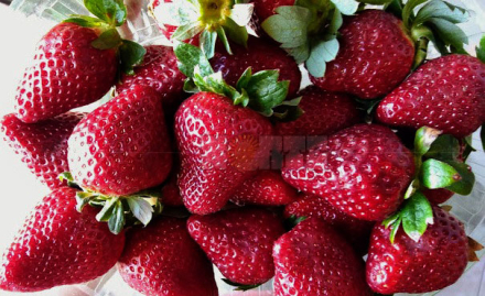frutillas.jpg