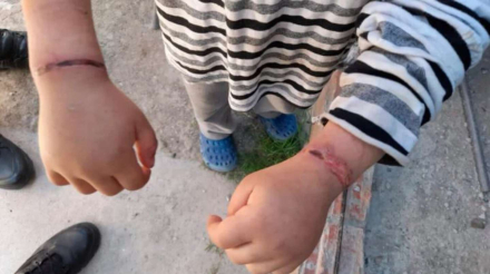 tortura.jpg