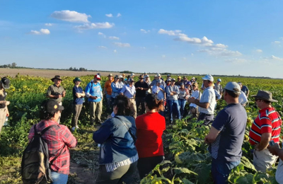 Ajustar el manejo de suelos agrícolas, la clave para ser más competitivos 