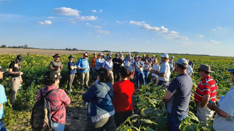 Ajustar el manejo de suelos agrícolas, la clave para ser más competitivos