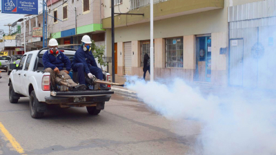 Nuevos casos de dengue en el NEA encienden la luz amarilla
