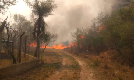 Incendio-Corrientes2.jpg