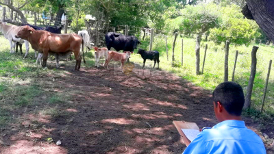 Robo de ganado: el juez Freytes respondió al enojo de los productores ganaderos