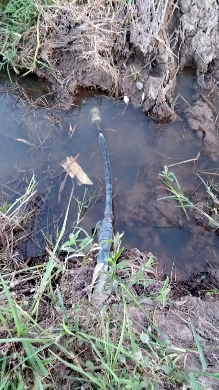 caño3.jpg